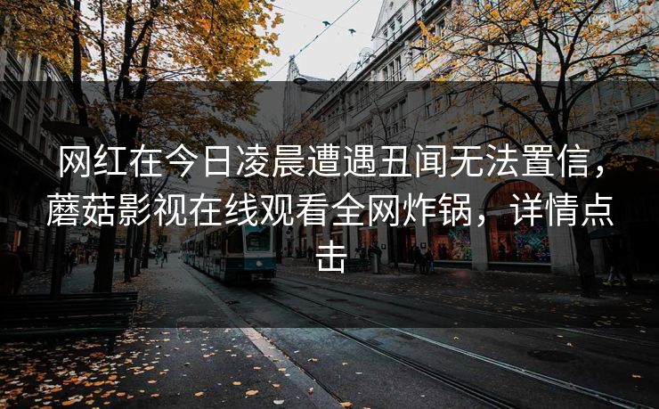 网红在今日凌晨遭遇丑闻无法置信，蘑菇影视在线观看全网炸锅，详情点击