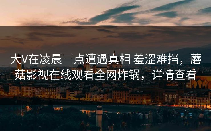 大V在凌晨三点遭遇真相 羞涩难挡，蘑菇影视在线观看全网炸锅，详情查看